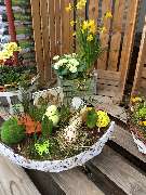 Olbersdorfer Blumeneck - GALLERY