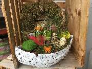 Olbersdorfer Blumeneck - GALLERY