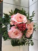 Olbersdorfer Blumeneck - GALLERY