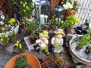 Olbersdorfer Blumeneck - GALLERY