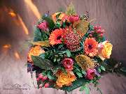 Olbersdorfer Blumeneck - GALLERY