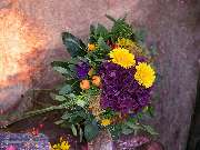 Olbersdorfer Blumeneck - GALLERY