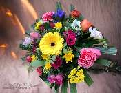 Olbersdorfer Blumeneck - GALLERY
