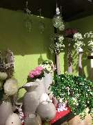 Olbersdorfer Blumeneck - GALLERY