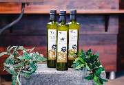 Olio Francavilla - GALLERY