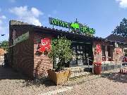 Oliven Apotheke - Aussenansicht der Oliven Apotheke