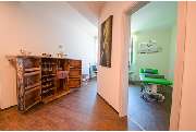 Oliver Egerer Physio One Die Gesundheitsschmiede - GALLERY