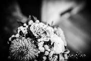 Oliver Felchner Fotografie - 27