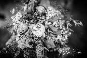 Oliver Felchner Fotografie - 42