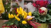 Olivers Blumenmanufaktur in Haar - GALLERY