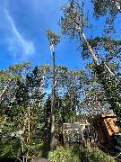 Omach Gartenlandschaftsbau - WhatsApp Bild 2025-03-31 um 09.39.36_47a3a9cc.jpg