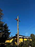 Omach Gartenlandschaftsbau - WhatsApp Bild 2025-03-31 um 09.39.37_6579c65d.jpg