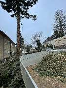 Omach Gartenlandschaftsbau - WhatsApp Bild 2025-03-31 um 09.39.38_97c286ca.jpg