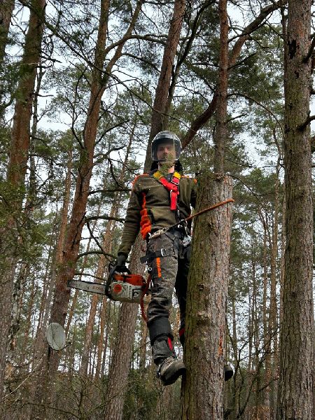 Omach Gartenlandschaftsbau - WhatsApp Bild 2025-03 …