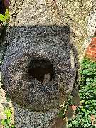 Omach Gartenlandschaftsbau - WhatsApp Bild 2025-03-31 um 09.47.09_a877369a.jpg