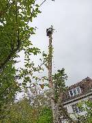 Omach Gartenlandschaftsbau - WhatsApp Bild 2025-03-31 um 09.47.10_9730ee26.jpg