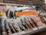 Omega3 - GALLERY