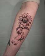 OMEN Tattoo & Piercing - Berlin Mitte - Illustratives Fineline/Linework Tattoo einer Sonnenblume in einer abstrakten Vase.