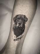 OMEN Tattoo & Piercing - Berlin Mitte - Microrealism Hundeporträt Tattoo in Black and Grey mit feiner Schattierung. Emotionales Realistic Tattoo in Berlin gestochen bei OMEN Tattoo Berlin.