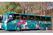 Omnibus Bock - GALLERY