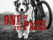 One Of The Pack - 2