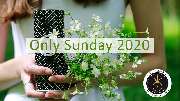 Only Sunday - Only Sunday Biokosmetik