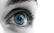 Optik Ager - GALLERY