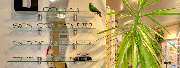 Optik Individuell - GALLERY
