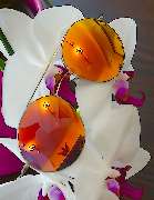 Optik Ming Brill - GALLERY