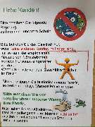 Optik Pabst - GALLERY