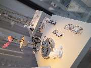 Optik Starcke Inh. Franz Anzinger - GALLERY