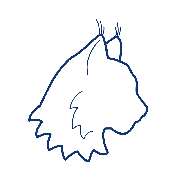 Optik Wenzel GmbH - GALLERY