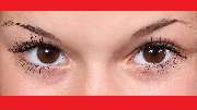 OptikEck Wiedmer - GALLERY