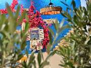 Oregano Grillhaus - GALLERY