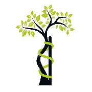 Orthopädie München Dr. Burghardt | Orthopäde für Kinder und Erwachsene - LOGO