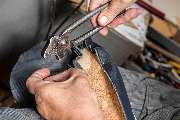 Orthopädie-Schuhtechnik und Maß-Schuhmacherei Struzek - Struzek – Maßschuhe & Orthopädieschuhtechnik Essen