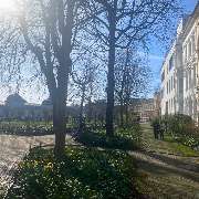 Osteopathie am Schloss Bonn - Essenia Elena Karvouniaris - Ein idyllischer Parkweg, gesäumt von Bäumen und angrenzenden Gebäuden, lädt zur Entspannung in der Nähe der Osteopathie-Praxis am Schloss Bonn ein.