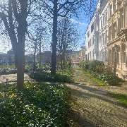 Osteopathie am Schloss Bonn - Essenia Elena Karvouniaris - Ein ruhiger Parkweg mit umliegenden Gebäuden und schattenspendenden Bäumen schafft eine erholsame Umgebung nahe der Osteopathie-Praxis am Schloss Bonn.