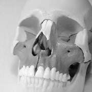 Ostepathie und Naturheilkunde Bendzulla-Achtermann - GALLERY