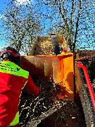 Ostsee.MV.Baumkletterer - 20240223_200717.jpg