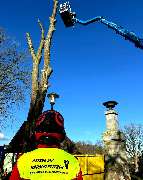 Ostsee.MV.Baumkletterer - 20240223_200836.jpg