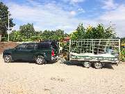 Owens Baumarbeiten - GALLERY