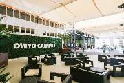 OWYO CAMPUS - GALLERY