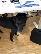 P-Call GmbH & Co. KG - GALLERY