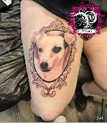 P.ink Tattoo & Piercing Studio - GALLERY