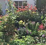 Paarberatung und Coaching - Beratung im Garten - GALLERY
