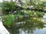 Palatinum Landschafts und Gartendesign GdbR - 10