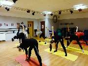 Pallas Lady Fitness - GALLERY