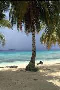 Panama Tours and Scuba SA - GALLERY
