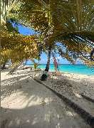 Panama Tours and Scuba SA - GALLERY